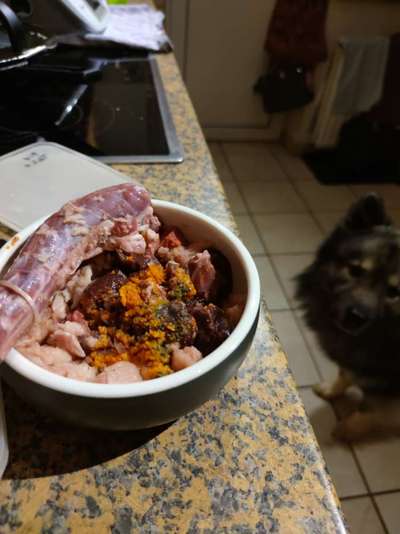 Zeigt her Eure Futternäpfe-Beitrag-Bild