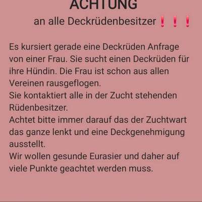 Eurasier hier?-Beitrag-Bild