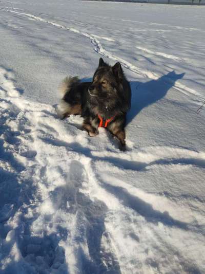 Ist das ein...?-Beitrag-Bild