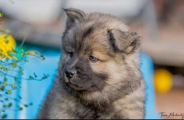 Sie werden so schnell erwachsen ...-Beitrag-Bild