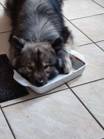 Ist das ein...?-Beitrag-Bild