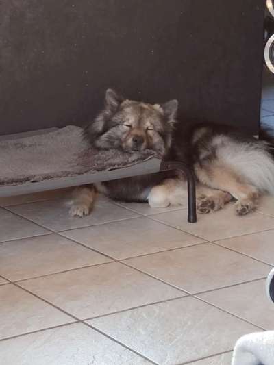 4. Lustiger Schlafplatz-Beitrag-Bild