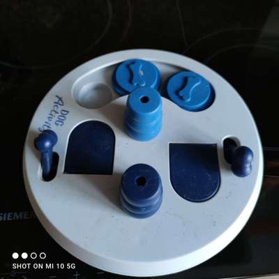 Eurasier hier?-Beitrag-Bild