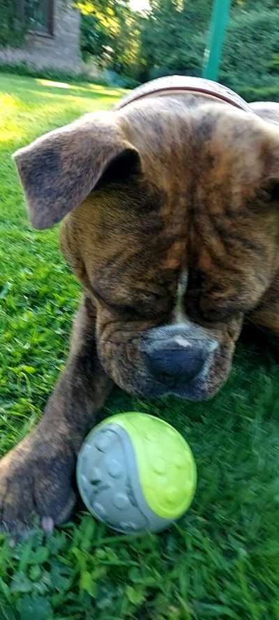 23. Handy Foto-Challenge-Beitrag-Bild