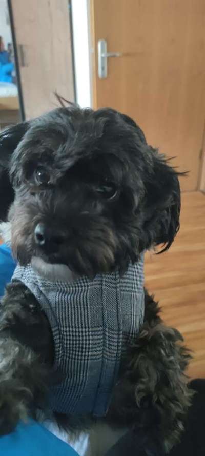 Lieblingsbild-Beitrag-Bild