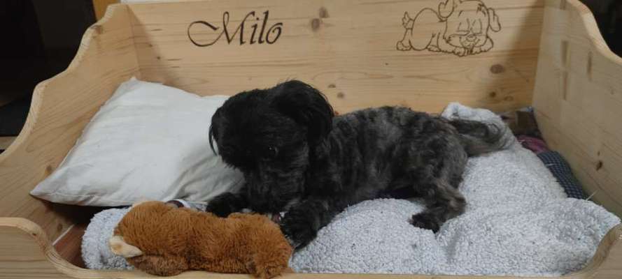 Schlafzeit!💖-Beitrag-Bild