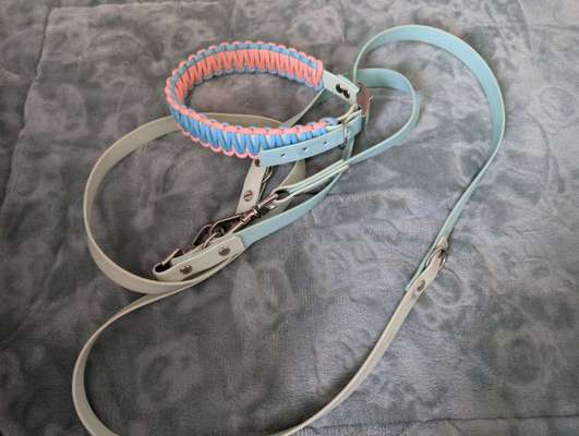 Hundezubehör-Beitrag-Bild