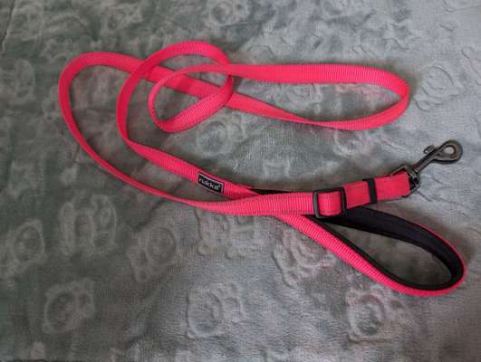 Hundezubehör-Beitrag-Bild