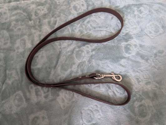 Hundezubehör-Beitrag-Bild