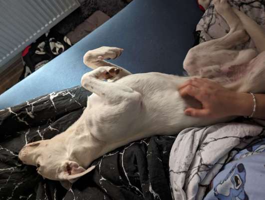 Angst vorm Partner-Beitrag-Bild