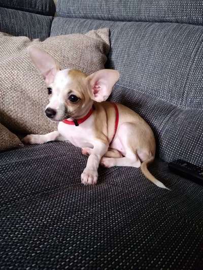 Das erste Foto-Beitrag-Bild