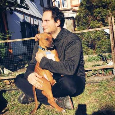 Hundetreffen-Welpenspielstunde-Profilbild