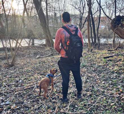 Hundmenschfotos-Beitrag-Bild