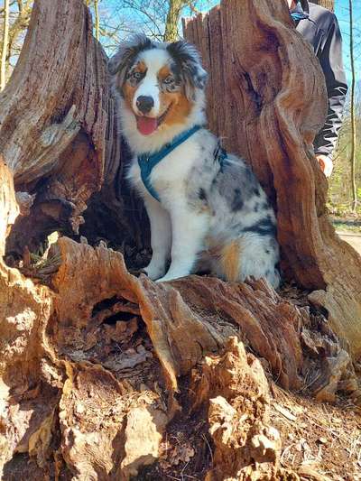 Fotowettbewerb Natur-Beitrag-Bild