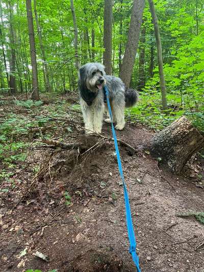 Gibts hier Mioritic Besitzer?-Beitrag-Bild