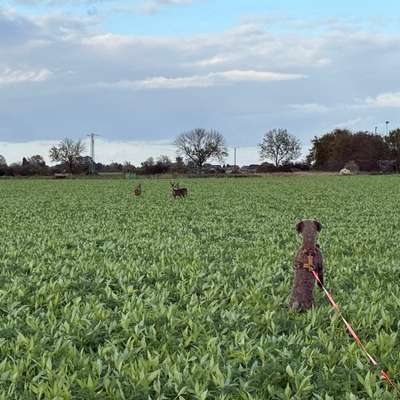 "Wege zur Freundschaft" (Ulli Reichmann)-Beitrag-Bild