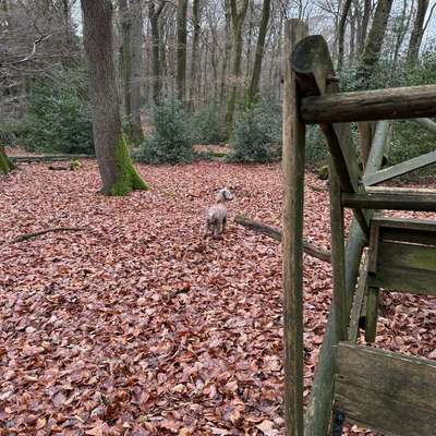 "Wege zur Freundschaft" (Ulli Reichmann)-Beitrag-Bild
