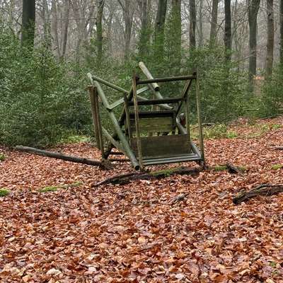 "Wege zur Freundschaft" (Ulli Reichmann)-Beitrag-Bild