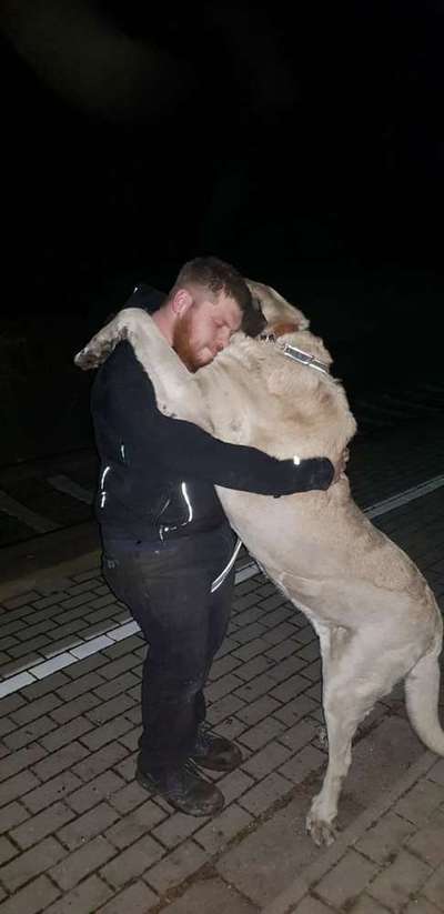 Warum liebst du deinen Hund?-Beitrag-Bild