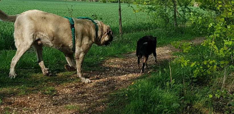 Vorurteile-Beitrag-Bild