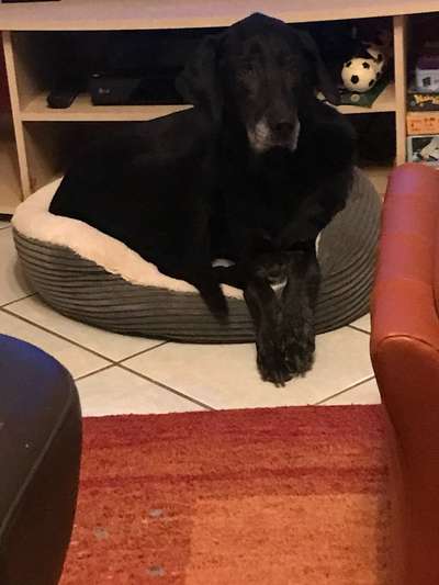 Foto Challenge 112 
ungewöhnliche Schlafplätze-Beitrag-Bild