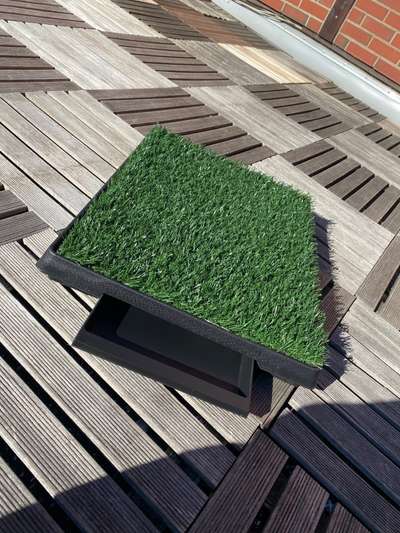 Salinovo Hundetoilette-Beitrag-Bild