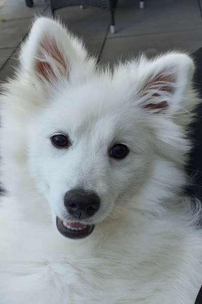 Fotochallange Nr. 57     PORTRÄT.   Beendet!!!!!!!!-Beitrag-Bild