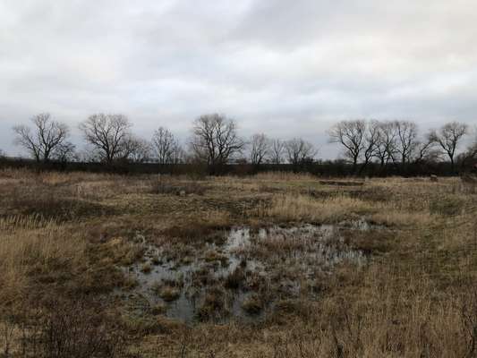 Hundeauslaufgebiet-Sömmerda-Bild