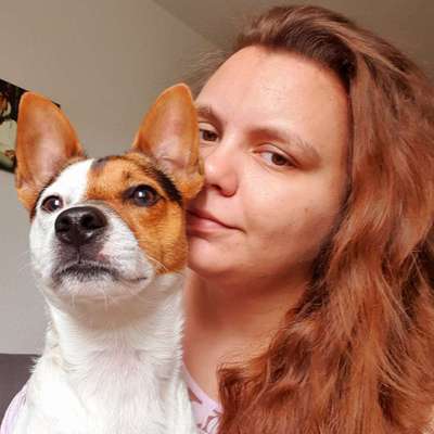 Hundetreffen-Hundesitter gesucht