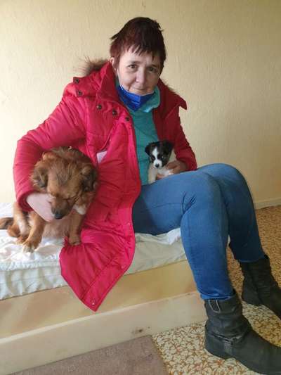 Wie kamst du zu deinem Hund?-Beitrag-Bild