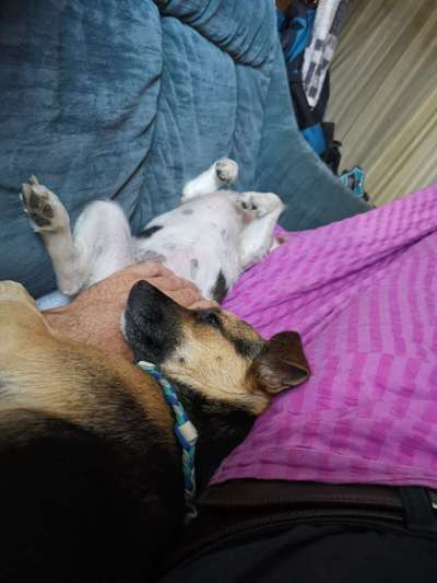 FOTO-Challenge  NR. 91: Die pure Entspannung-Beitrag-Bild