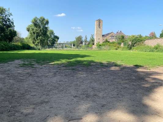 Hundeauslaufgebiet-Hundeplatz Orangerie-Bild