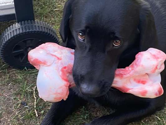 Handy-Foto Challange Nr. 10-Beitrag-Bild