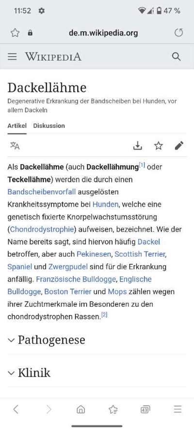 Große Dackel-Parade in Regensburg geplant - Was denkt ihr?-Beitrag-Bild