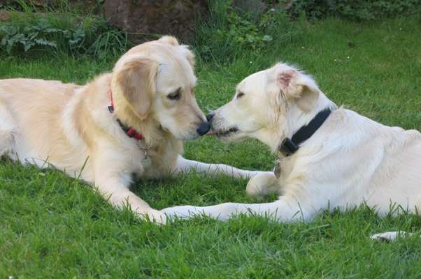 Lieblings Fotos-Beitrag-Bild