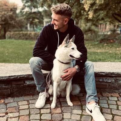 Hundetreffen-Spielpartner gesucht-Profilbild