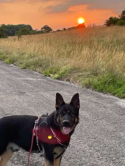 42.Fotochallenge - Eure schönen Momente beim Spaziergang-Beitrag-Bild