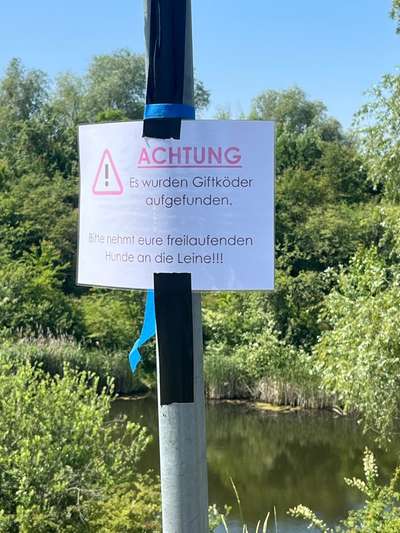 Giftköder-Giftköder am Kanal-Bild