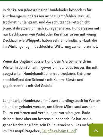 Wissen nicht mehr weiter-Beitrag-Bild