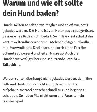 Wissen nicht mehr weiter-Beitrag-Bild