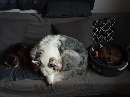 Was würdest du jetzt anders machen?-Beitrag-Bild