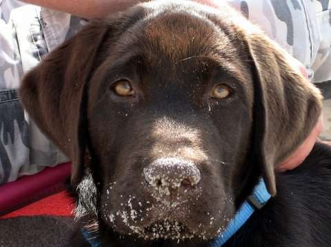 Fotochallange Nr. 57     PORTRÄT.   Beendet!!!!!!!!-Beitrag-Bild