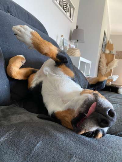 Die unbequemsten und lustigsten Schlafpositionen-Beitrag-Bild