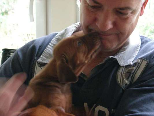 Das erste Bild eures Hundes-Beitrag-Bild