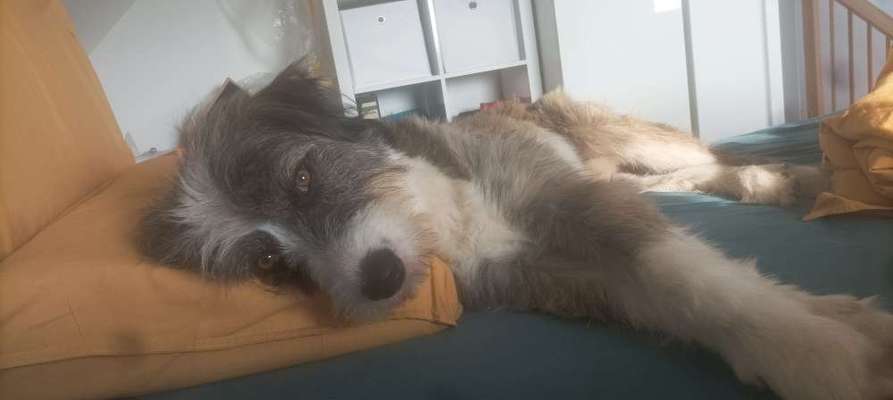 Foto Challenge Nr. 134-Beitrag-Bild