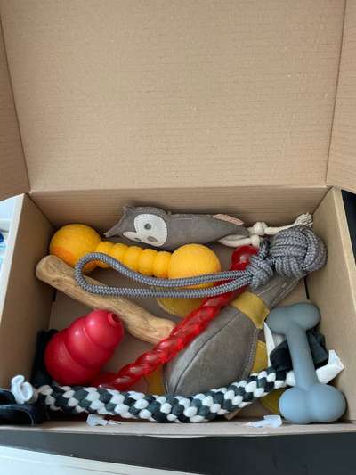 Spielzeug aufbewahrung-Beitrag-Bild