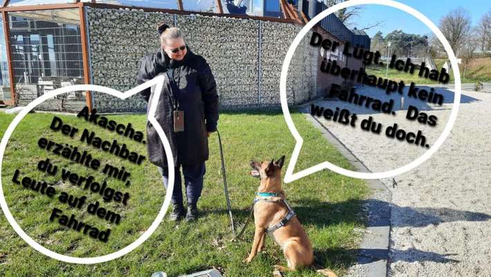 Was denkt mein Hund ?-Beitrag-Bild