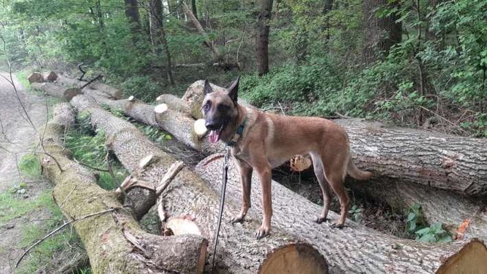 Doppelgänger gesucht !-Beitrag-Bild