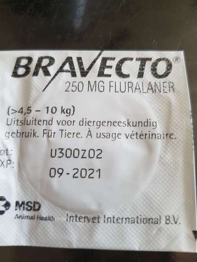 Tablette  oder tropfen  gegen Flöhe oder zecken??-Beitrag-Bild