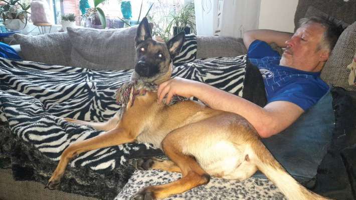 Hunderunde-Beitrag-Bild